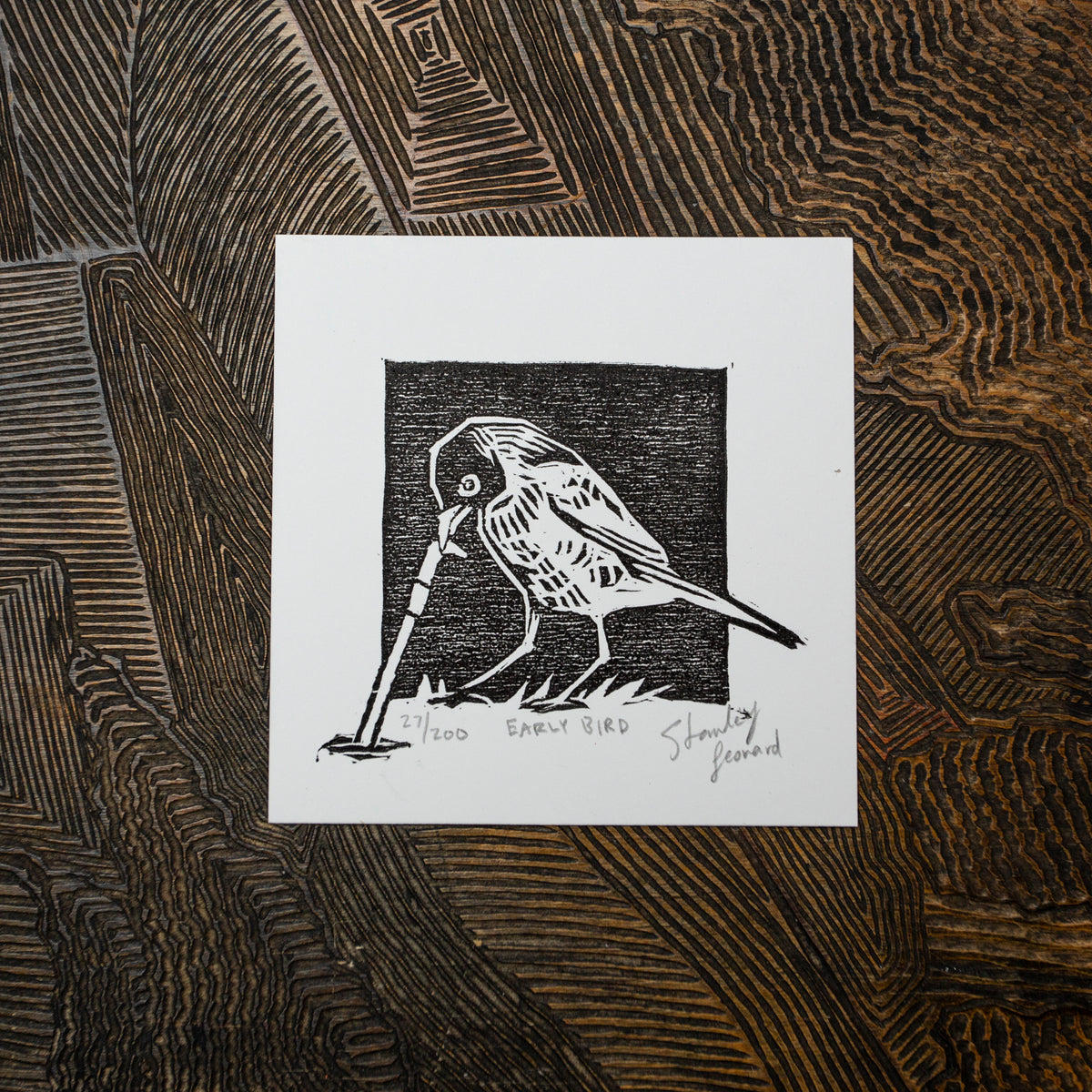 Early Bird – Stanley Leonard Studio